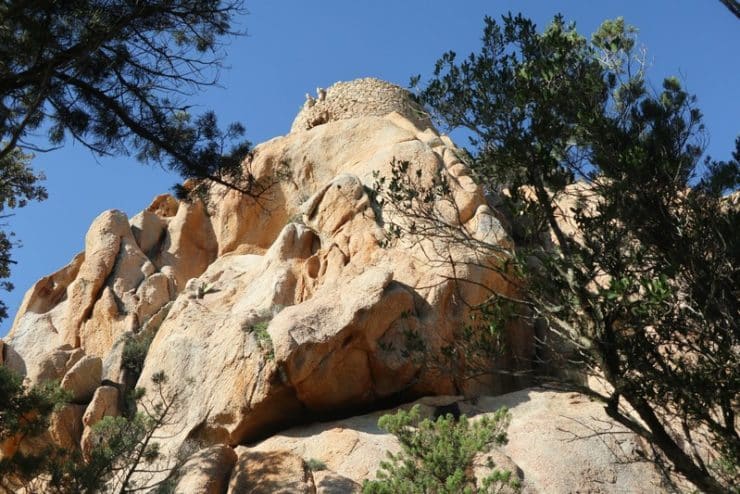 roccapina tour génoise