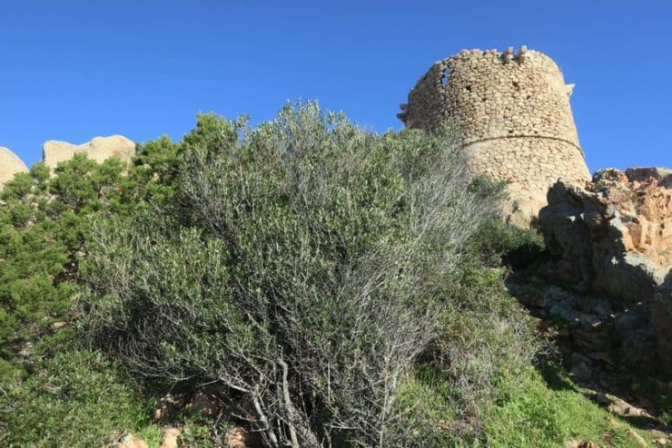 tour genoise roccapina