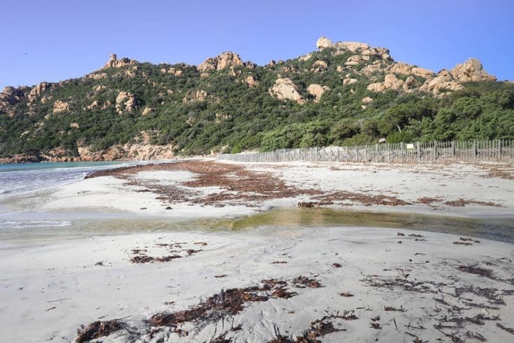 plage roccapina