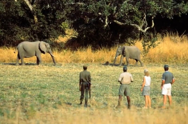 voyage tanzanie serengeti