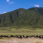 Parc national du Serengeti en Tanzanie