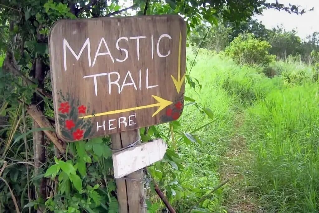Mastic Trail à Grand Cayman