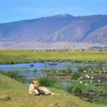 Zone de conservation du Ngorongoro