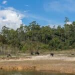 Parc national Phou Khao Khouay