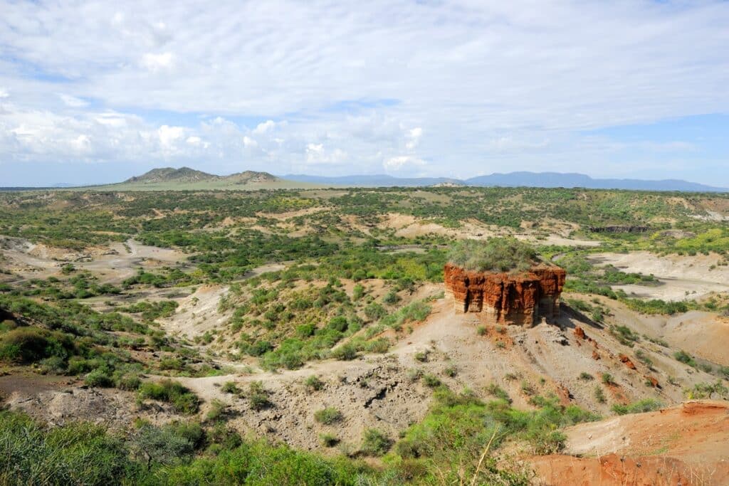 gorges d’Olduvai