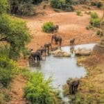 parc national kruger