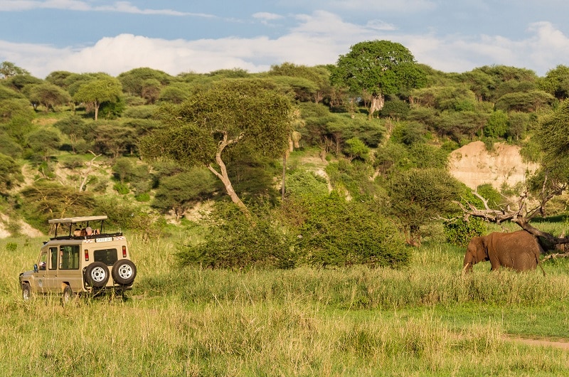 safari à tarangire