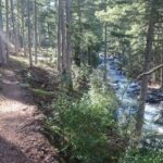 Sentier de découverte dans la forêt de Tartagine