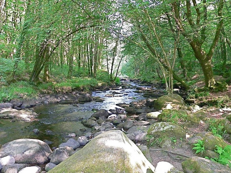 rivière ellé