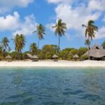 visiter Mafia Island en Tanzanie