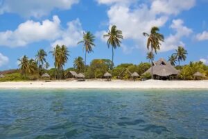 visiter Mafia Island en Tanzanie