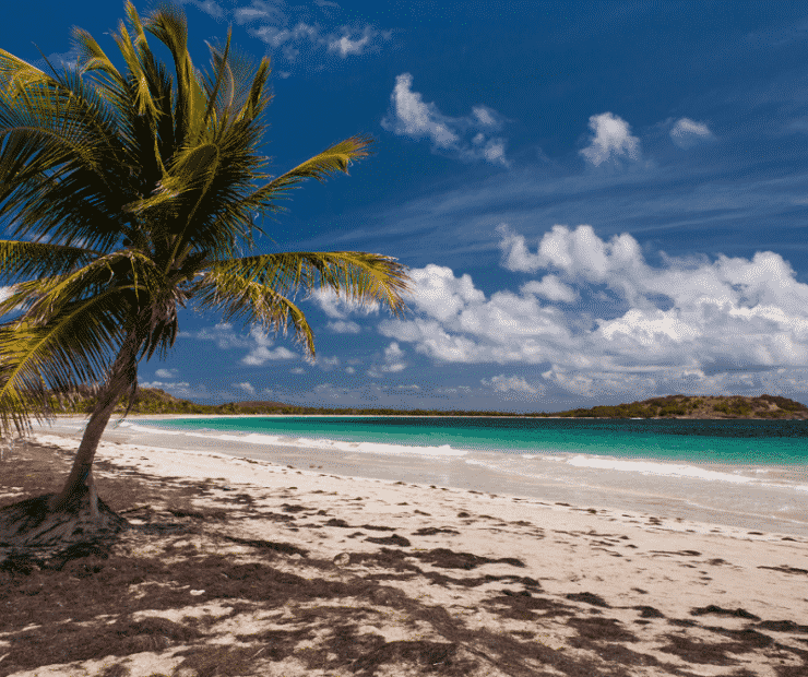 plage martinique