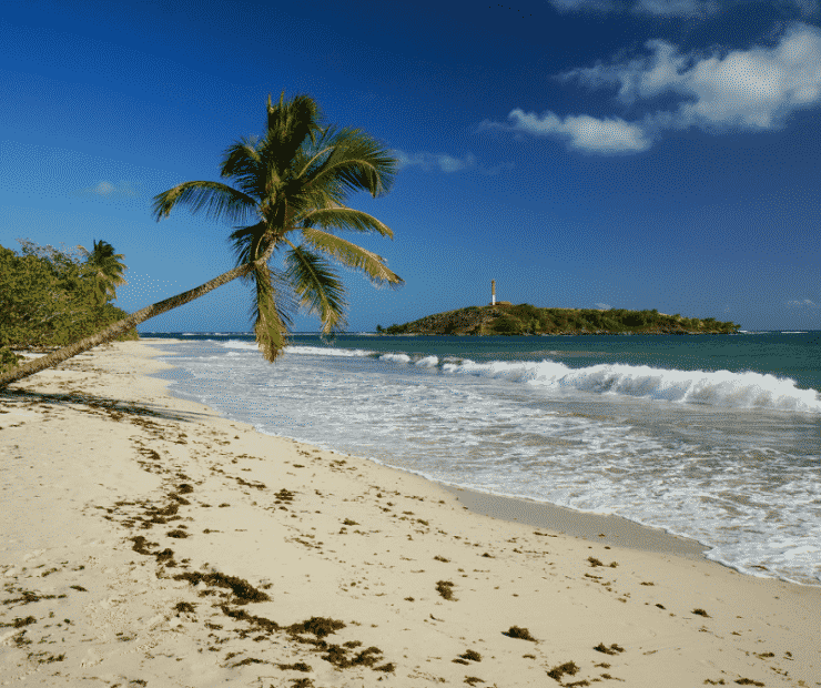 plage martinique