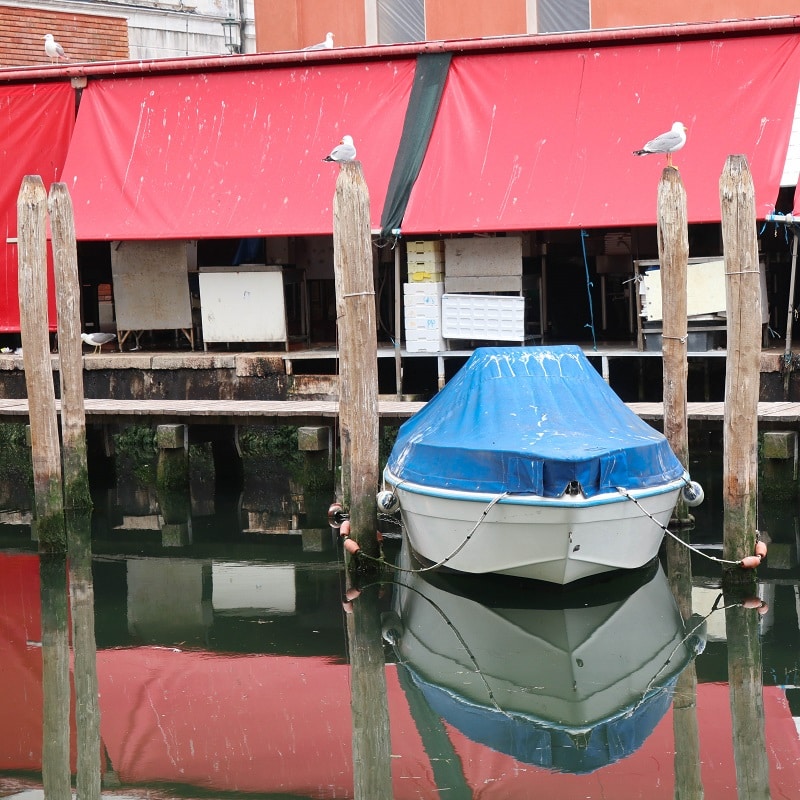 marché aux poissons chioggia