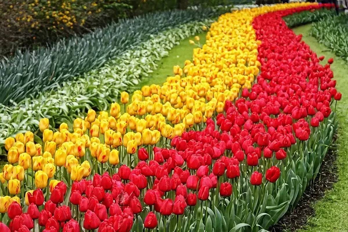 Où voir les plus belles fleurs du monde ?