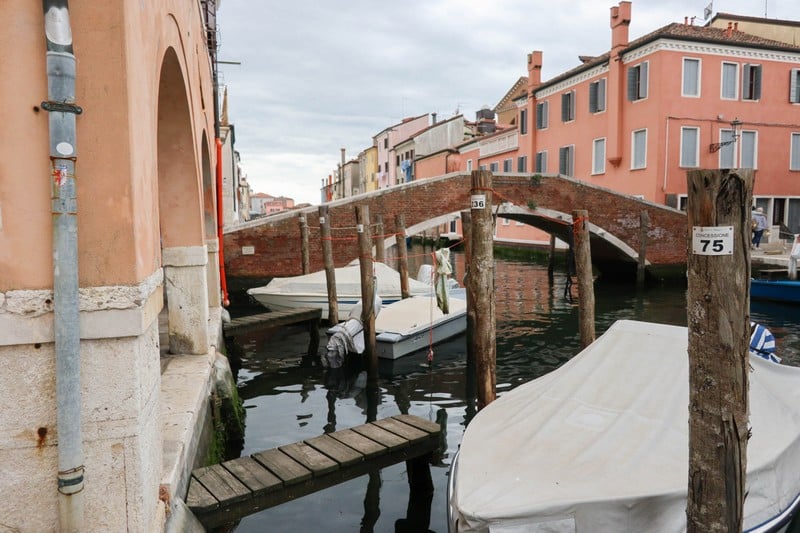 chioggia