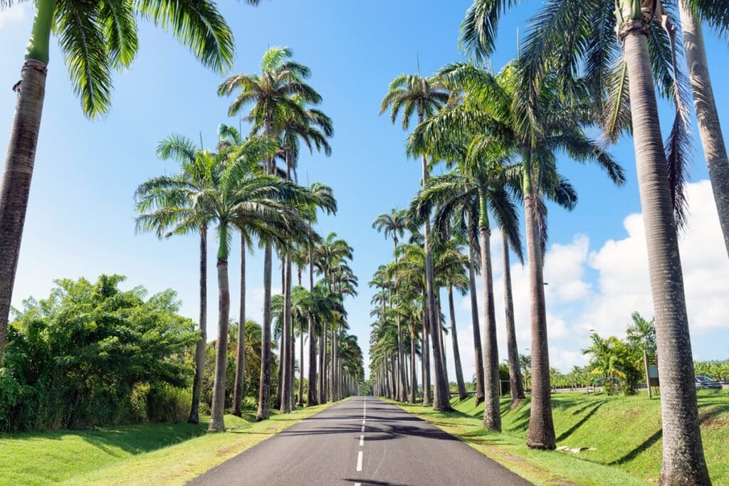 Découvrir la Guadeloupe en road trip