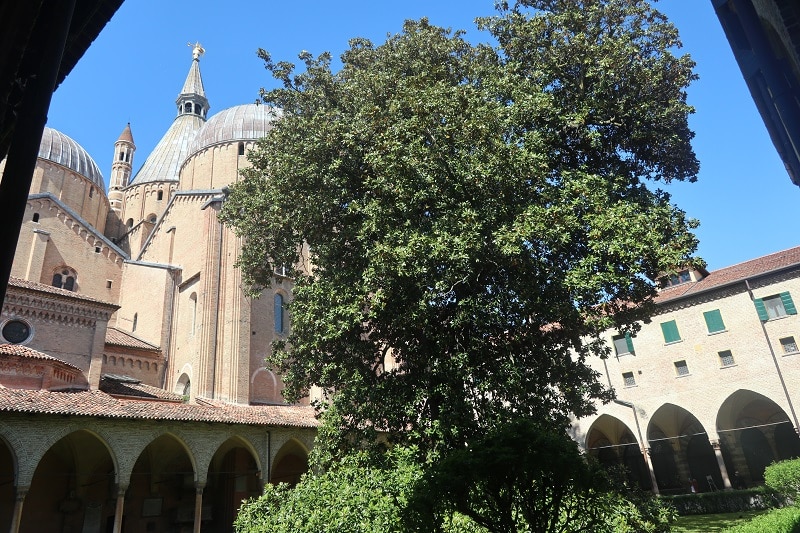 basilique Saint-Antoine cloitre
