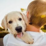 Comment faire garder son chien lorsqu'on part en voyage