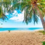 Quel est le meilleur moment pour se rendre en Guadeloupe