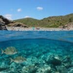 plus belles plages et criques de la Costa Brava