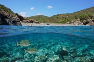 plus belles plages et criques de la Costa Brava