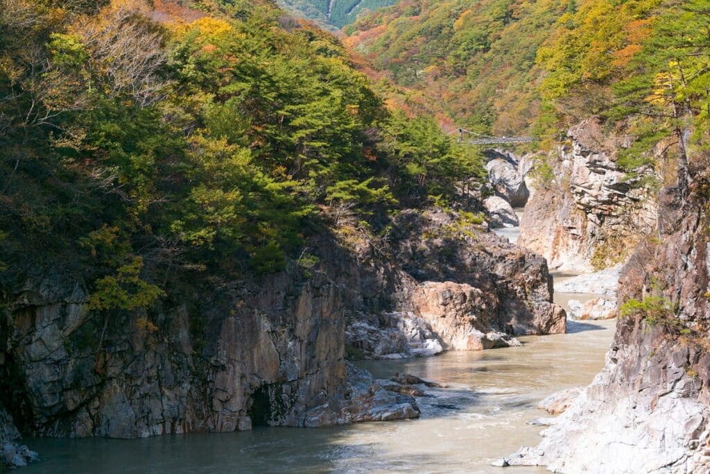 ryuyo nikko