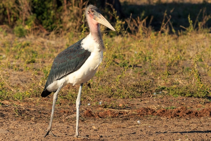 Les 10 plus beaux endroits à visiter au Cameroun • Generation Voyage