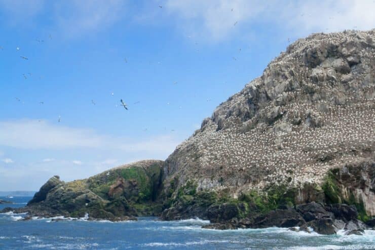 réserve naturelle des sept îles