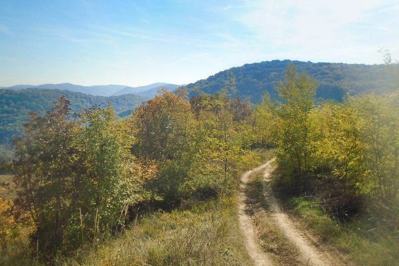 Fruška Gora