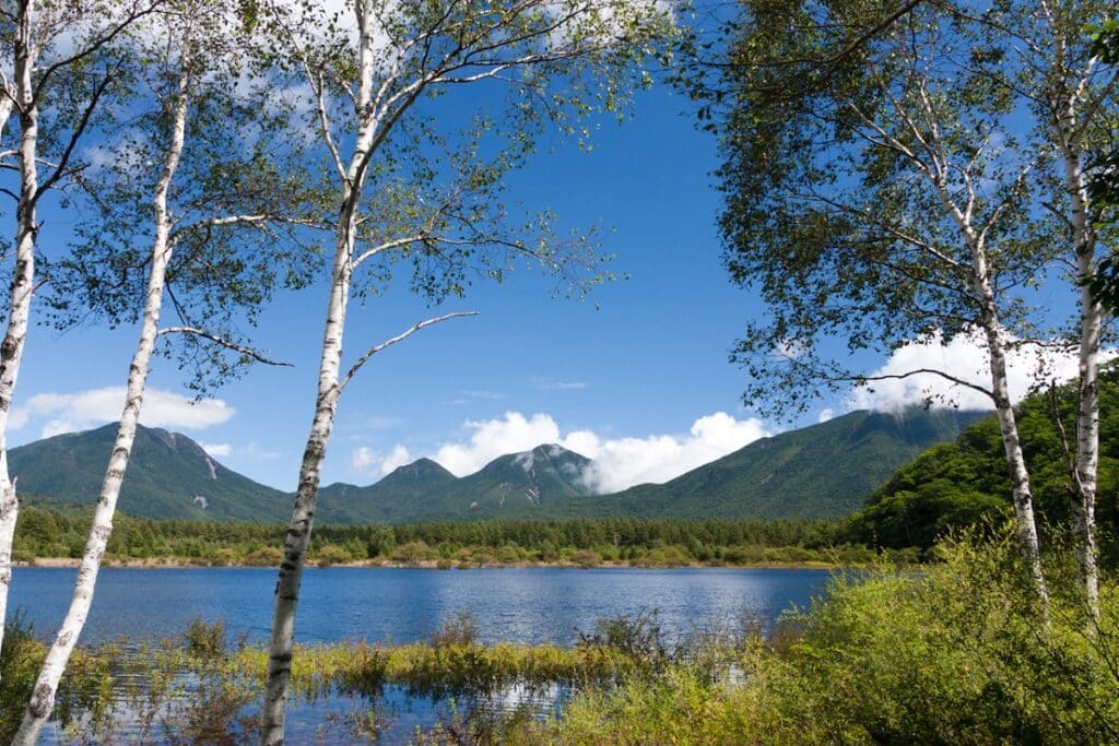 lac parc de nikko