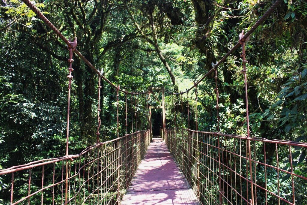 Réserve Biologique de Monteverde