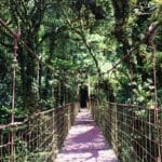 Réserve Biologique de Monteverde