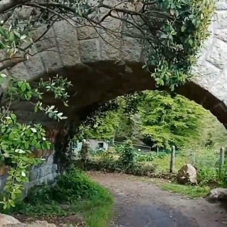 bois d'amour pont aven