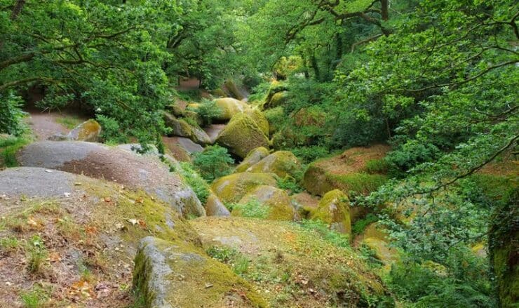 La forêt de Huelgoat