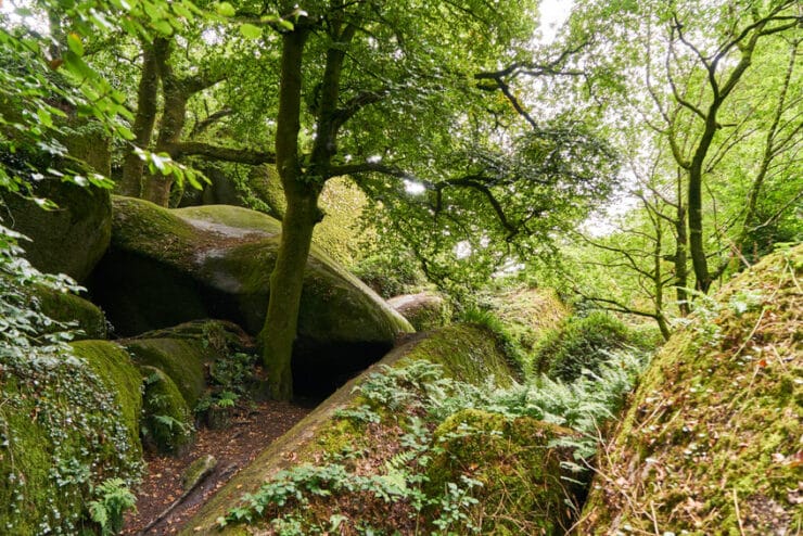foret de huelgoat
