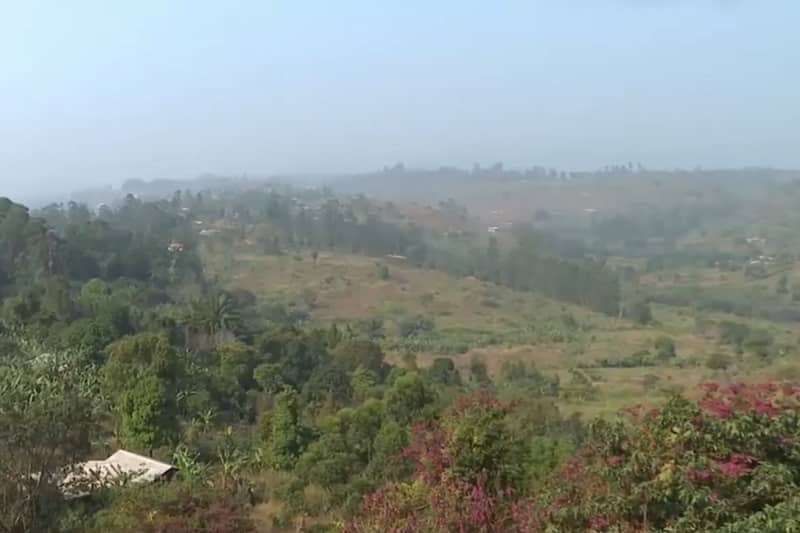 hauts plateaux cameroun
