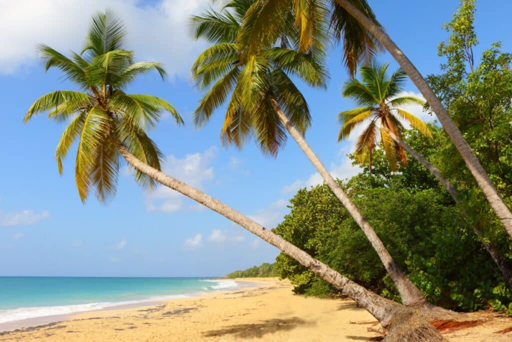 Top 3 des lieux à visiter en Martinique