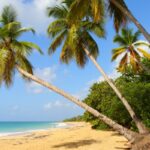 Top 3 des lieux à visiter en Martinique