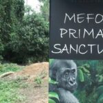 Parc de la Méfou