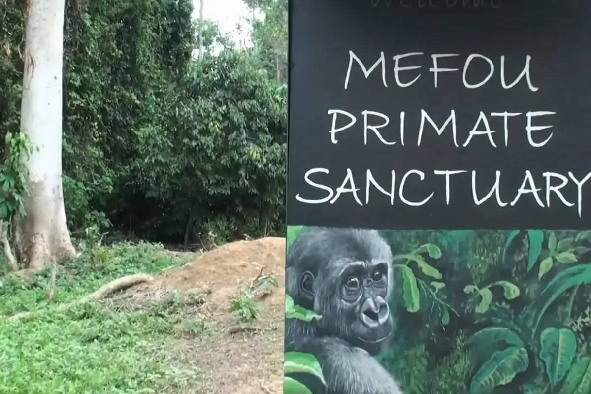 Parc de la Méfou