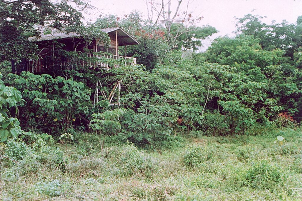 mirador parc national de lobéké