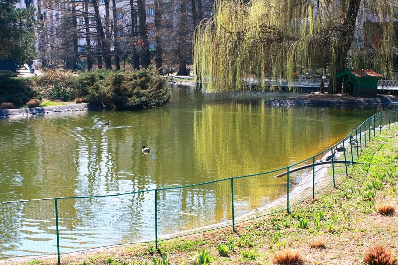 novi sad parc du danube