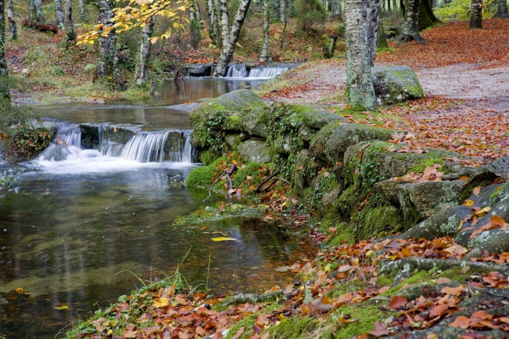 Parc national de Peneda-Gerês