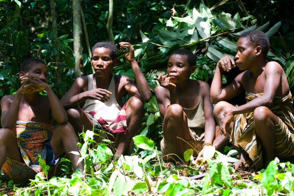 pygmées cameroun