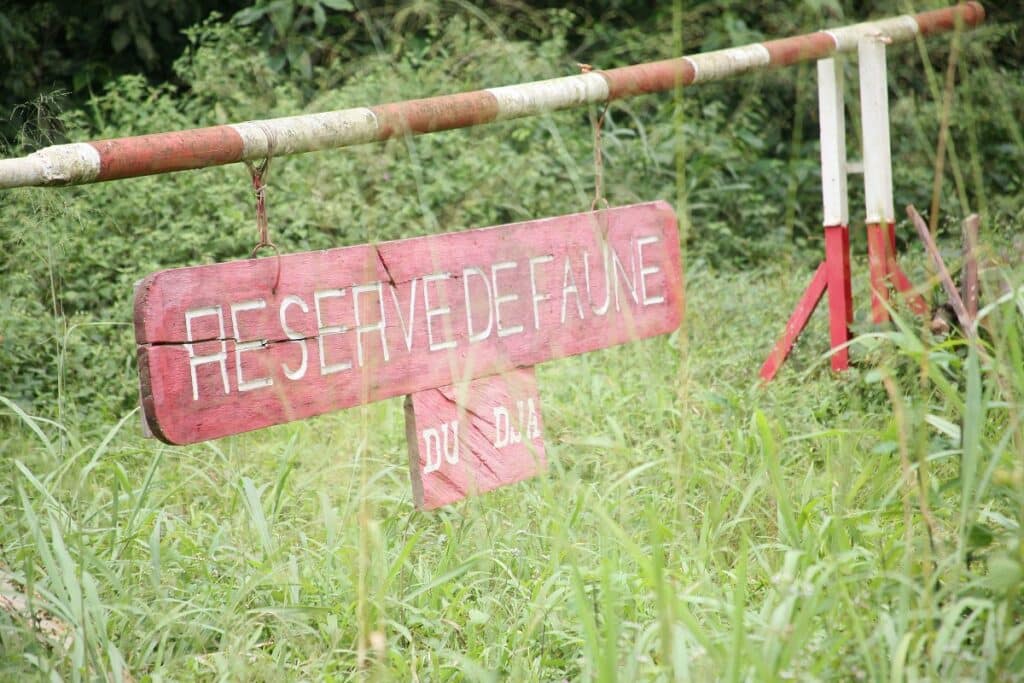 réserve du dja