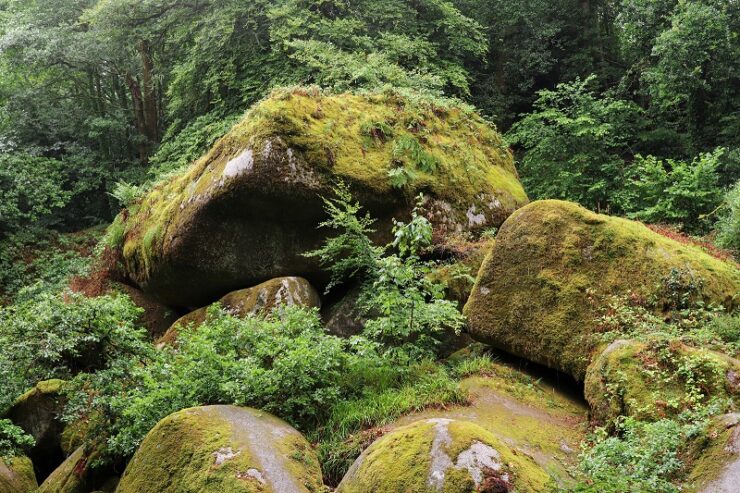 rochers granit huelgoat