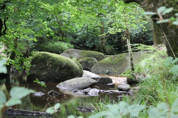 la forêt de huelgoat