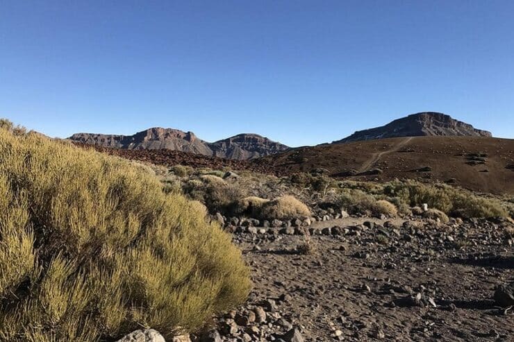 parc du teide tenerife