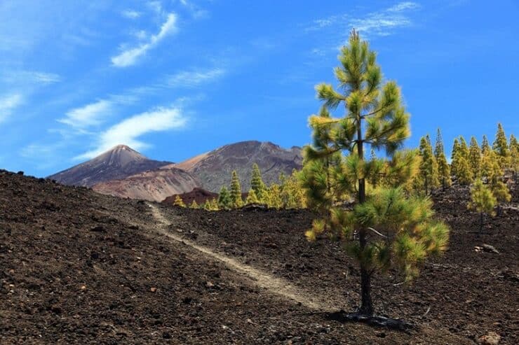 randonnée teide